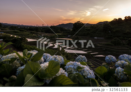 下赤阪の棚田 下赤阪の棚田 32561133