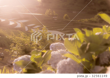 下赤阪の棚田 下赤阪の棚田 32561149