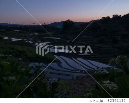 下赤阪の棚田 32561152