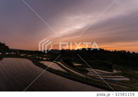 下赤阪の棚田 32561159