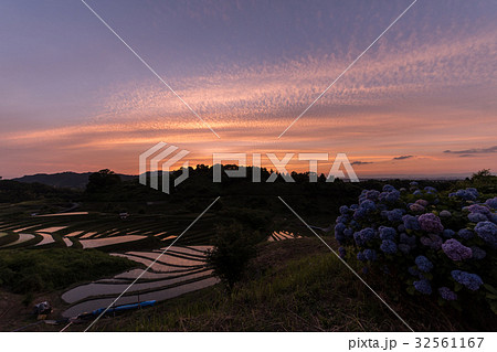 下赤阪の棚田 32561167