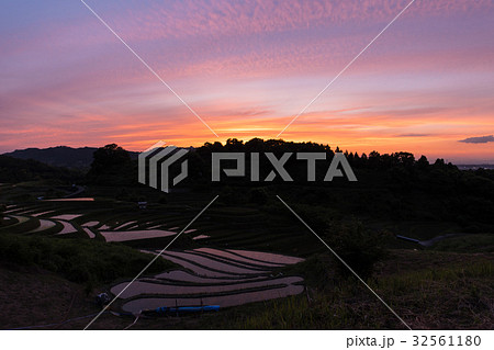 下赤阪の棚田 下赤阪の棚田 32561180