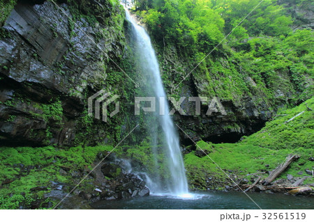 阿弥陀ヶ滝 32561519