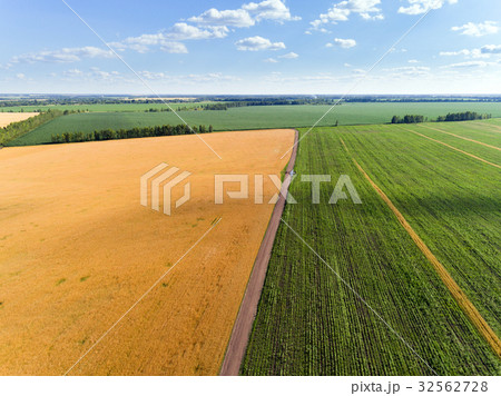 Aerial view of cereals in central Russia 32562728