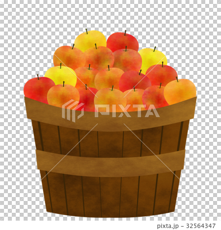 Freshly picked apples Freshly picked apples 32564347