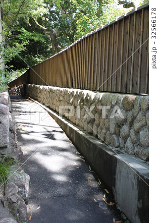 緑の細道 緑の細道 32566178