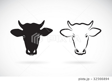 Vector Of Cow Head Design On White Background のイラスト素材