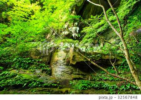 新緑の御橋観音 佐世保 吉井町 新緑の御橋観音 佐世保 吉井町 32567848