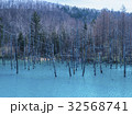 北海道　美瑛の青い池 32568741