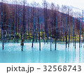 北海道　美瑛の青い池 32568743