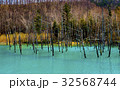 北海道　美瑛の青い池 32568744