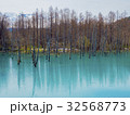 北海道　美瑛の青い池 32568773