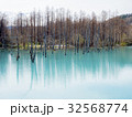 北海道　美瑛の青い池 32568774
