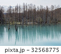 北海道　美瑛の青い池 32568775