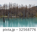 北海道　美瑛の青い池 32568776