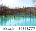 北海道　美瑛の青い池 32568777