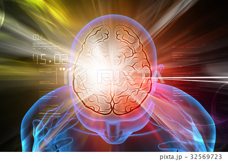 male head with brain 32569723