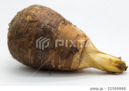 Fresh root taro on white background 32569988