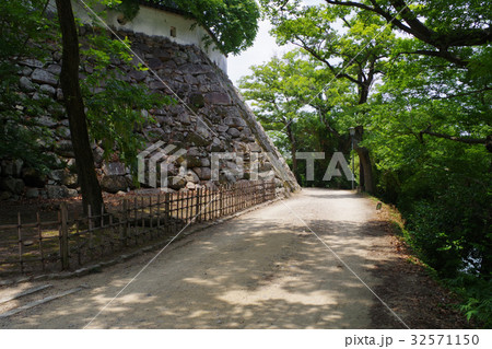 岡山城の石垣と道 32571150