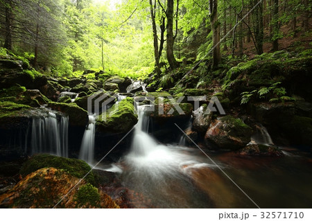 Forest stream flowing from the mountains Forest stream flowing from the mountains 32571710