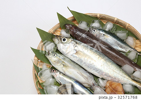 魚介類の詰め合わせ 産地直送イメージ 魚介類の詰め合わせ 産地直送イメージ 32571768
