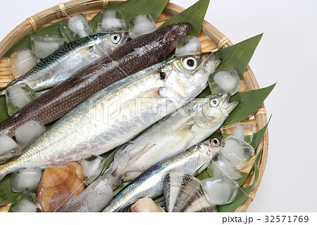 魚介類の詰め合わせ　産地直送イメージ 32571769