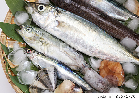 新鮮な魚介類の詰め合わせ 32571770