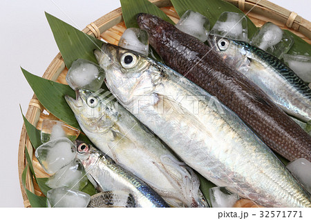 魚介類の詰め合わせ　産地直送イメージ 32571771