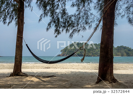 Relaxing under pine trees on the beach. Relaxing under pine trees on the beach. 32572644