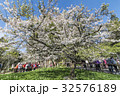 桜 さくら サクラ 32576189