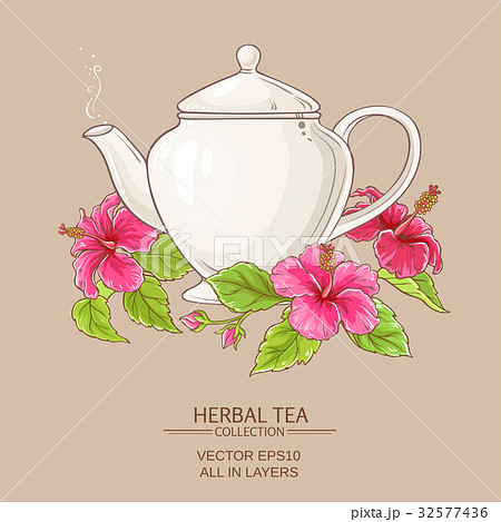 hibiscus tea in teapot 32577436