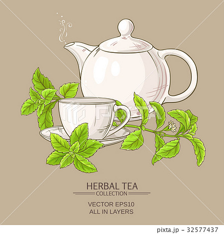 stevia tea illustration 32577437