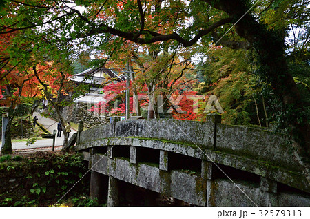 坂本日吉大社 二宮橋の紅葉 32579313