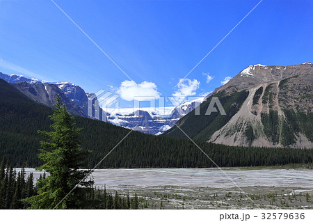 カナディアンロッキー、ジャスパー国立公園 32579636