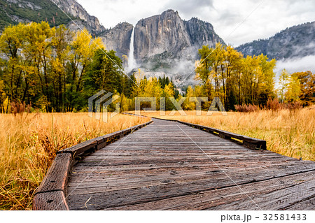 Meadow with boardwalk in Yosemite National Park  32581433