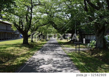 日本遺産 松ヶ岡開墾場 32582909