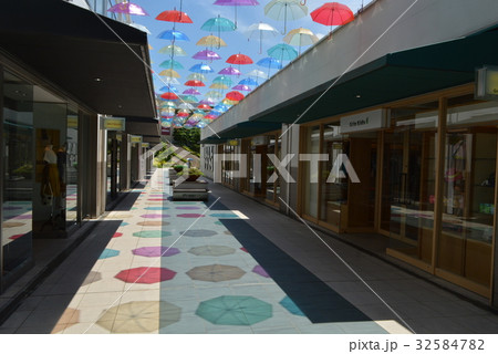 アンブレラフラワー 32584782