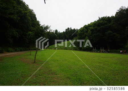 夏の相原中央公園 32585586