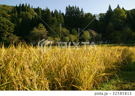 八峰町手這坂のかやぶき集落(桃源郷) 八峰町手這坂のかやぶき集落(桃源郷) 32585813
