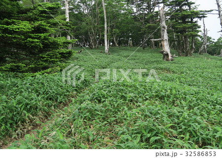【世界遺産 紀伊山地の霊場と参詣道】大峯山　夏の山上ヶ岳の山頂　奈良県吉野郡天川村 32586853