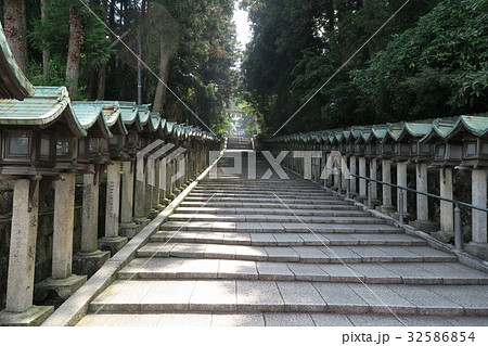 【近畿三十六不動霊場】第二十九番　生駒聖天寶山寺の夏の参道　奈良県生駒市 32586854