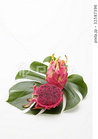 モンステラとドラゴンフルーツ 沖縄産 モンステラとドラゴンフルーツ 沖縄産 32587396