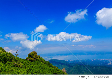 雲仙 立岩の峰 ミヤマキリシマ 雲仙 立岩の峰 ミヤマキリシマ 32588556