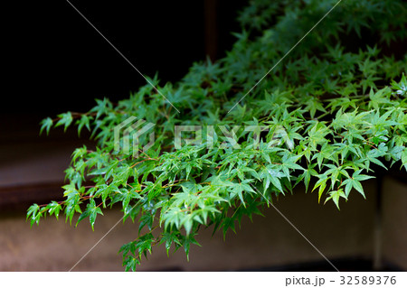 西村家別邸 - 社家町 京都上賀茂 32589376