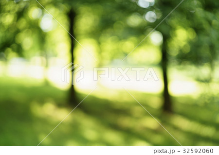 abstract blurred background of trees in park in 32592060
