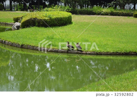 矢橋帰帆島公園 32592802