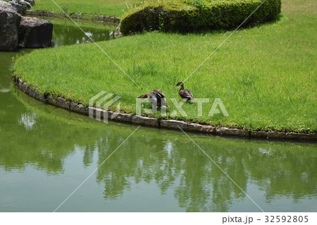 矢橋帰帆島公園 32592805