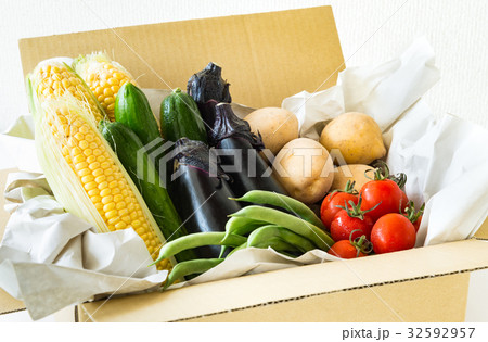 夏野菜いろいろ 契約農家 宅配野菜 収穫 夏野菜いろいろ 契約農家 宅配野菜 収穫 32592957