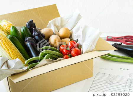 夏野菜いろいろ 契約農家 宅配野菜 収穫 夏野菜いろいろ 契約農家 宅配野菜 収穫 32593020
