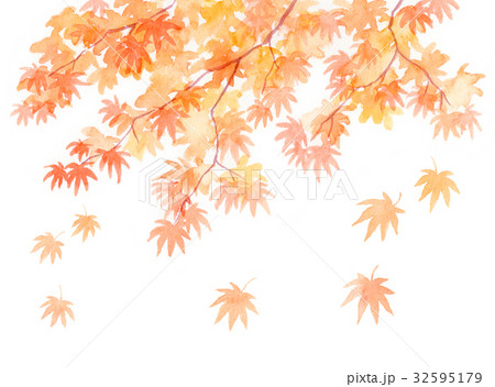 紅葉 32595179